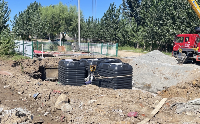 1740969289991331.jpg 平度 (10).jpg